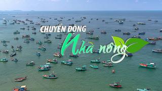 Chuyển động Nhà nông 7/5: Bến Tre kiên quyết không cho 399 tàu “3 không” ra khơi để thực hiện IUU