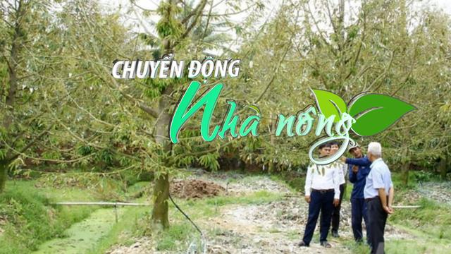 Chuyển động Nhà nông 7/6: Vĩnh Long đối thoại với hơn 100 chủ vườn cây bị chết bất thường