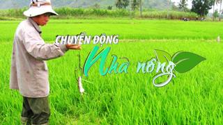 Chuyển động Nhà nông 8/5: Bình Thuận phát động chiến dịch diệt chuột hại cây trồng năm 2024