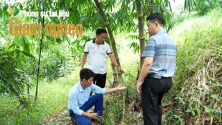 Bắc Ninh: Xã miền núi Tây Yên Tử kỳ vọng tạo bứt phá mạnh, phấn đấu đến năm 2027 không còn hộ nghèo