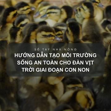 SỔ TAY NHÀ NÔNG: Hướng dẫn tạo môi trường sống an toàn cho đàn vịt trời giai đoạn con non