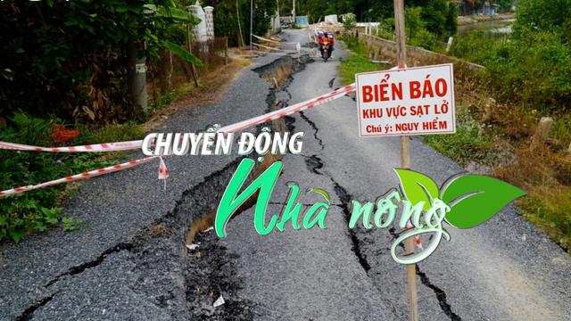 Chuyển động Nhà nông 9/8: Tiền Giang xảy ra vụ sạt lở đoạn đê bao dài hàng chục mét