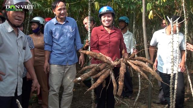 Sản xuất sắn trên đất dốc: Rà soát xây dựng quy trình theo hướng bền vững, phù hợp điều kiện sinh thái