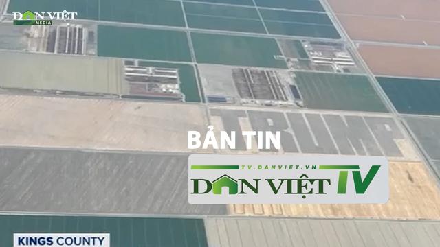 Bản tin Dân Việt TV 10/8: Nông dân Mỹ ủng hộ cựu tổng thống Trump bằng biểu tượng lớn trên cánh đồng