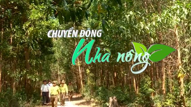 Chuyển động Nhà nông 11/6: Cảnh báo nguy cơ cao xảy ra cháy rừng ở Phú Yên