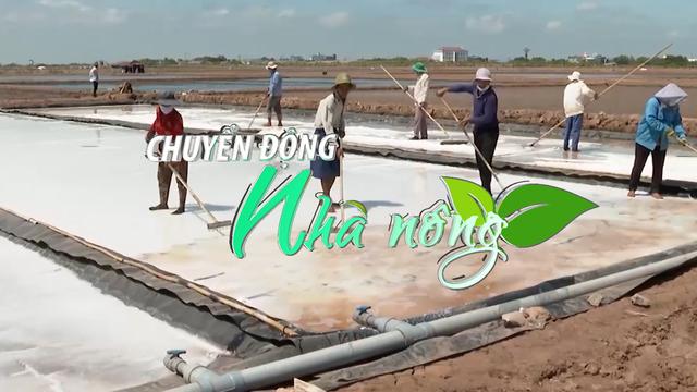 Chuyển động Nhà nông 11/7: Thăng trầm nghề muối của diêm dân Bạc Liêu