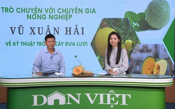 GÓC CHUYÊN GIA: Thời vụ trồng dưa lưới - yếu tố quan trọng quyết định năng suất mùa vụ