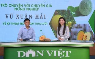 GÓC CHUYÊN GIA: Thời vụ trồng dưa lưới - yếu tố quan trọng quyết định năng suất mùa vụ