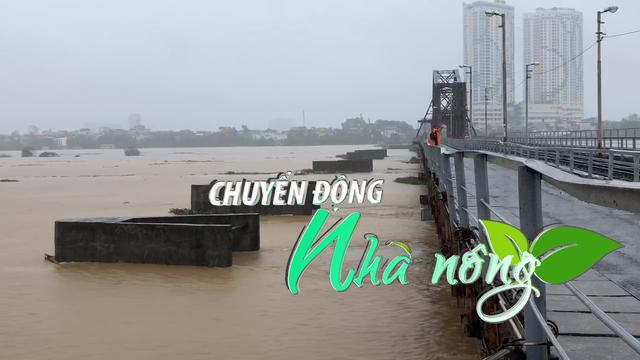 Chuyển động Nhà nông 12/9: Hà Nội không chủ quan dù nước sông Hồng đã rút xuống dưới mức báo động 2