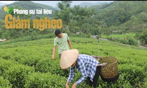 Đổi thay trên quê hương cách mạng Tân Trào ở Tuyên Quang