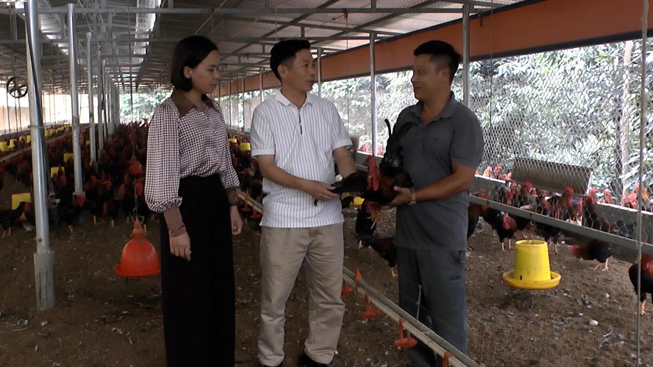 Hội viên nông dân xã Trấn Yên cùng địa phương hoàn thành các tiêu chí xây dựng nông thôn mới kiểu mẫu