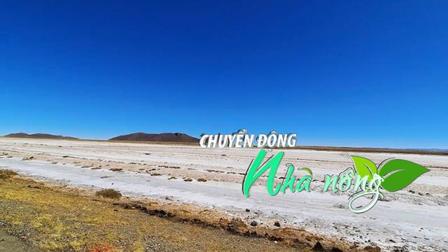 Chuyển động Nhà nông 14/12: Đất nhiễm mặn gia tăng, đe dọa sản lượng lương thực toàn cầu