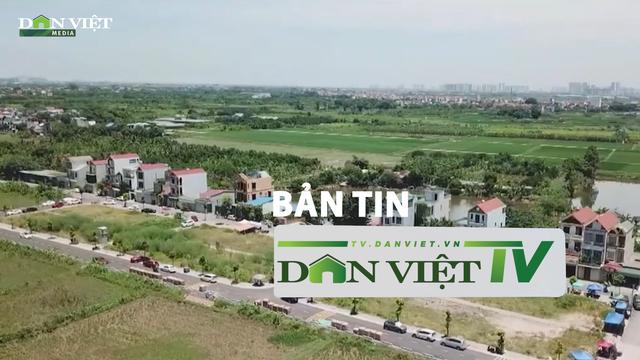 Bản tin Dân Việt TV 14/8: Cẩn trọng khi mua đất đấu giá bán chênh ở Thanh Oai (Hà Nội)