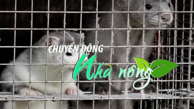 Chuyển động Nhà nông 12/8:Hơn 23 loài động vật có vú tại Mỹ nhiễm virus cúm gia cầm H5N1