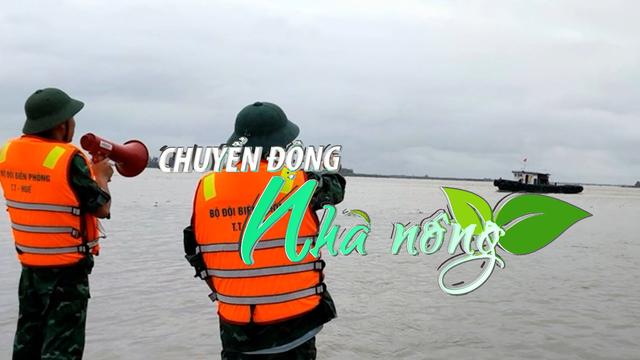 Chuyển động Nhà nông 15/7: Thừa Thiên Huế kêu gọi tàu thuyền vào bờ, chuẩn bị phương án tiêu úng cho lúa