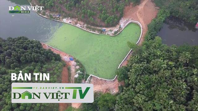 Bản tin Dân Việt TV 15/11: Lực lượng chức năng kiểm tra trại chăn nuôi “đầu độc” môi trường sau phản ánh của Dân Việt