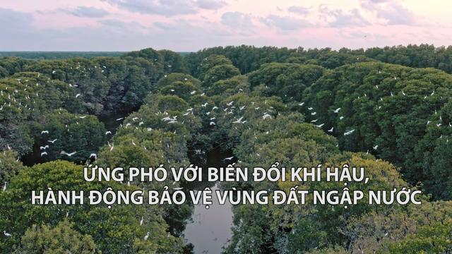 Ứng phó với biến đổi khí hậu, hành động bảo vệ vùng đất ngập nước