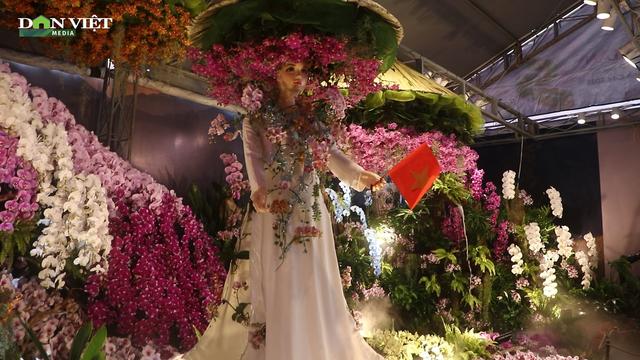 Tác phẩm hoa lan hơn 1,5 tỷ đồng xuất hiện tại Festival hoa lan TP.HCM, mở cửa miễn phí cho khách tham quan