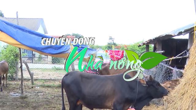 Chuyển động Nhà nông 17/8: Quảng Trị xuất hiện dịch lở mồm, long móng tại Hướng Hoá