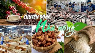 Chuyển động Nhà nông 17/4: Tăng gói tín dụng hỗ trợ lĩnh vực lâm, thủy sản lên 30 nghìn tỷ đồng 