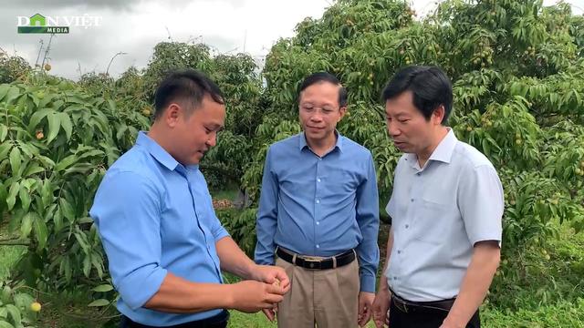Từ vùng vải chín sớm đến trang trại trứng OCOP: Nông dân Quảng Ninh gây ấn tượng với lãnh đạo TƯ HND Việt Nam