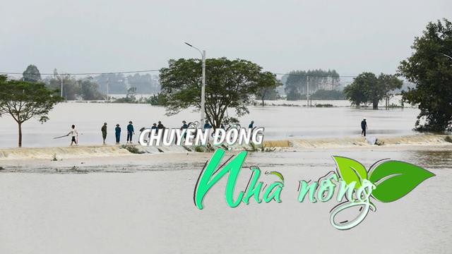 Chuyển động Nhà nông 17/10: Công bố tình huống khẩn cấp tại đê Tiên Sơn - Vân Hà (Bắc Giang)
