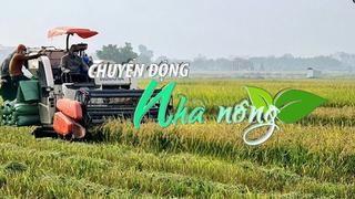 Chuyển động Nhà nông 18/3: Những “cánh đồng không dấu chân” ở Cẩm Giàng (Hải Dương)