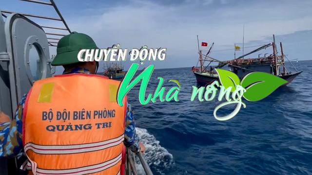 Chuyển động Nhà nông 18/6: Trung Quốc ồ ạt mua, giá vải thiều Việt Nam cao kỷ lục