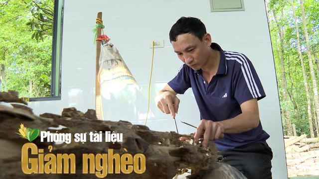 Phúc Trạch – Hương trầm từ đất nghèo và hành trình làm giàu bền vững