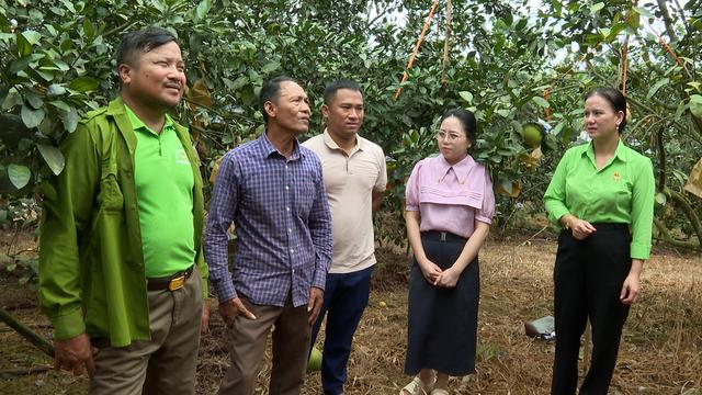 Hà Tĩnh: Lan tỏa phong trào xây dựng nông thôn mới từ công tác tuyên truyền của Hội Nông dân Hương Phố