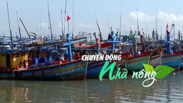 Chuyển động Nhà nông 10/12: Xử phạt nhiều tàu cá ngắt kết nối thiết bị giám sát hành trình