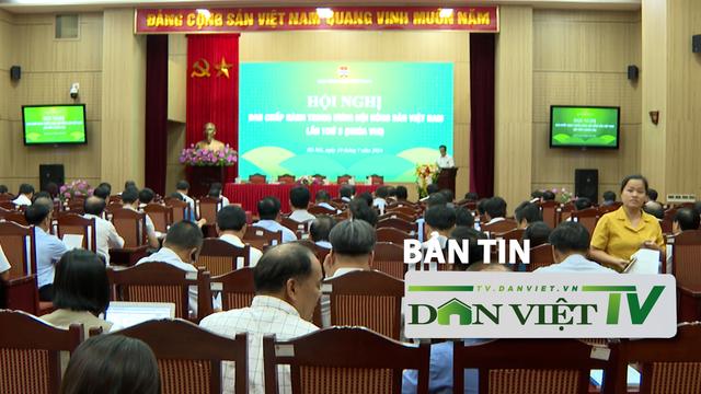 Bản tin Dân Việt TV 19/7: Công tác Hội và phong trào nông dân hoàn thành 14/18 chỉ tiêu đạt trên 50% kế hoạch