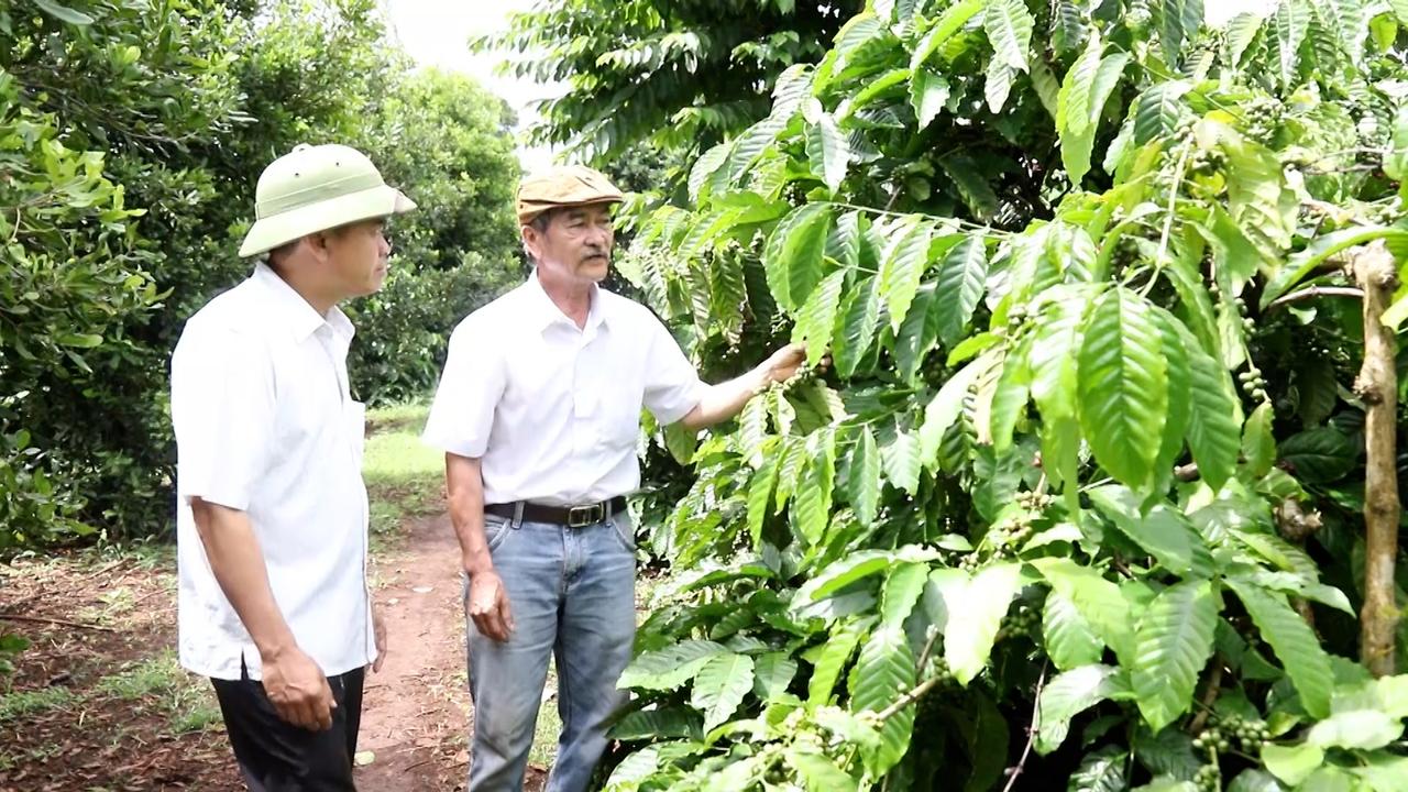 Hội Nông dân – Điểm tựa để Đắk Lắk bứt phá trong xây dựng nông thôn mới