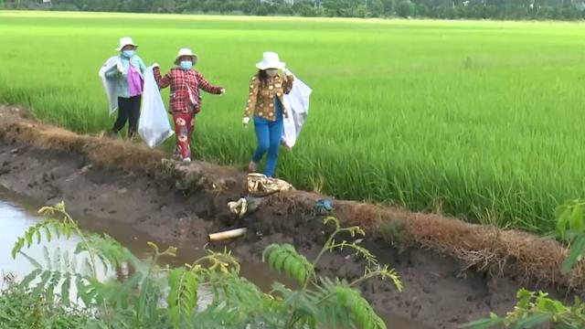 Ý thức nông dân trong thu gom bao bì thuốc BVTV là "chìa khoá" bảo vệ môi trường nông thôn 