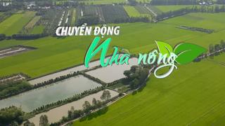 Chuyển động Nhà nông 20/3: ĐBSCL sẽ đầu tư gần 9.000 tỷ đồng sản xuất gạo carbon thấp, chất lượng cao