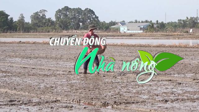 Chuyển động Nhà nông 20/5: Thoát hạn mặn, nông dân Tiền Giang khẩn trương xuống giống vụ Hè Thu