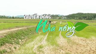 Chuyển động Nhà nông 20/6: Nắng nóng kéo dài, 350 ha lúa bị khô hạn, nứt nẻ tại Nghệ An 