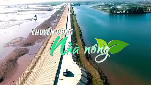 Chuyển động Nhà nông 21/7: Đồng bằng sông Hồng có nguy cơ cao bị úng lụt