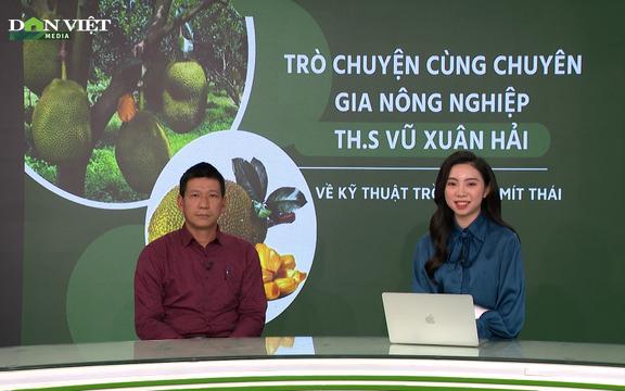 GÓC CHUYÊN GIA: Vì sao nên nhân giống mít Thái bằng phương pháp ghép cây