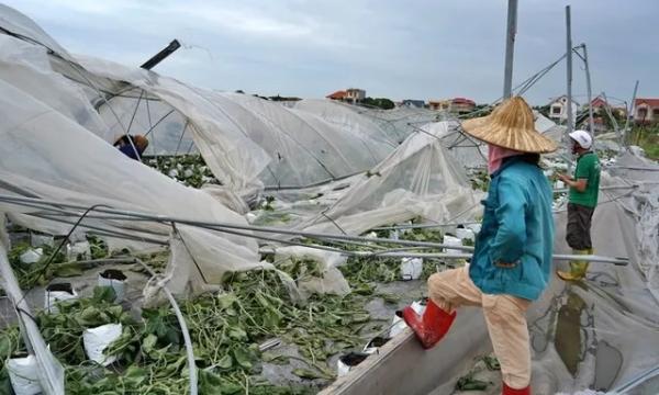 Trợ lực chính sách cho doanh nghiệp "gượng dậy" sau bão lũ