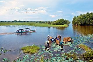 Tràm Chim, tự biến mình thành 