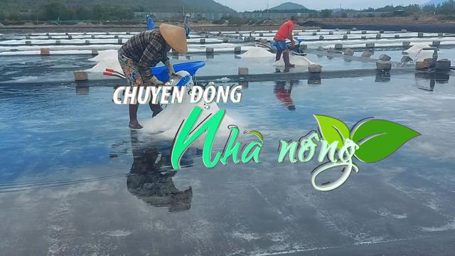 Chuyển động Nhà nông 22/5: Diêm dân Khánh Hoà lo lắng khi tái diễn cảnh “được mùa mất giá” muối