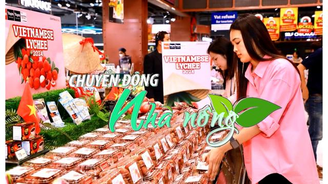 Chuyển động Nhà nông 22/6: Vải thiều Việt Nam ngày càng quen thuộc với người tiêu dùng Thái Lan