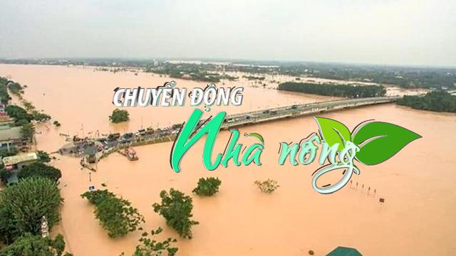 Chuyển động Nhà nông 22/7: Mực nước sông Hồng, sông Thái Bình lên mức báo động 3, có nguy cơ lũ lớn