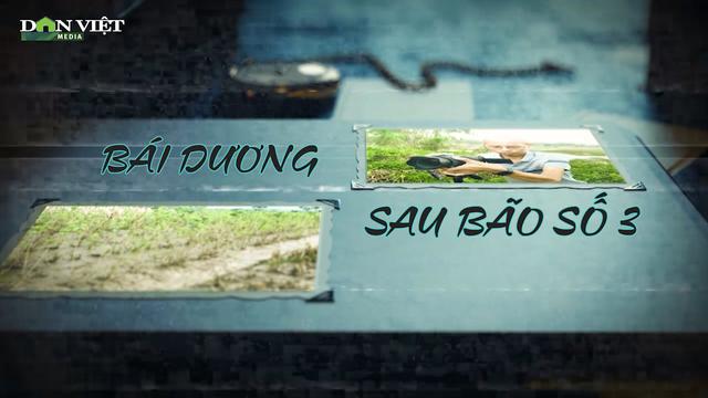 Nhà nông còn gì sau thiên tai (Kỳ 1): Bái Dương tan hoang sau bão Yagi