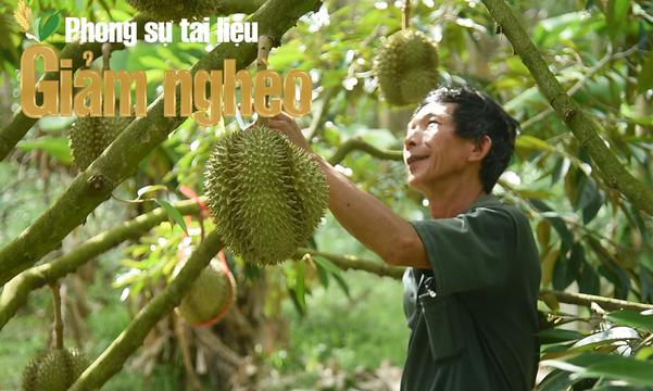 Nông dân thoát nghèo nhờ dám nghĩ, dám làm – câu chuyện đổi đời từ vùng trung du Gia Lai