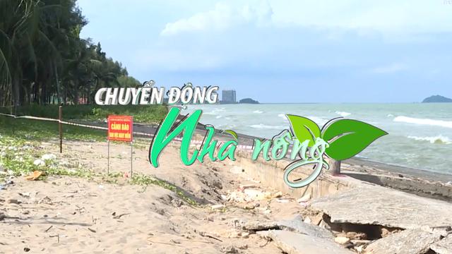 Chuyển động Nhà nông 24/8: Thanh Hóa công bố tình huống khẩn cấp sạt lở, xâm thực bờ biển huyện Hoằng Hóa 