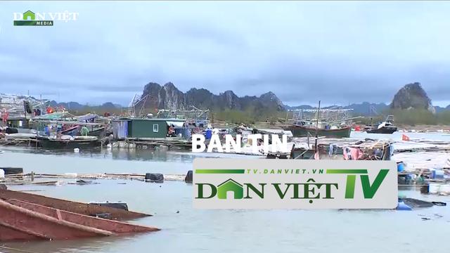 Bản tin Dân Việt TV 25/9: Tổng huy động nguồn lực hỗ trợ phục hồi chăn nuôi, thủy sản