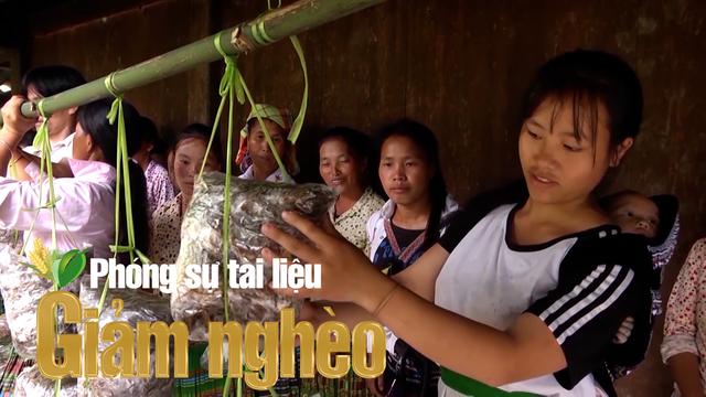 Nguồn vốn chính sách – “Bà đỡ” giúp nông dân  vùng cao Lào Cai thoát nghèo bền vững