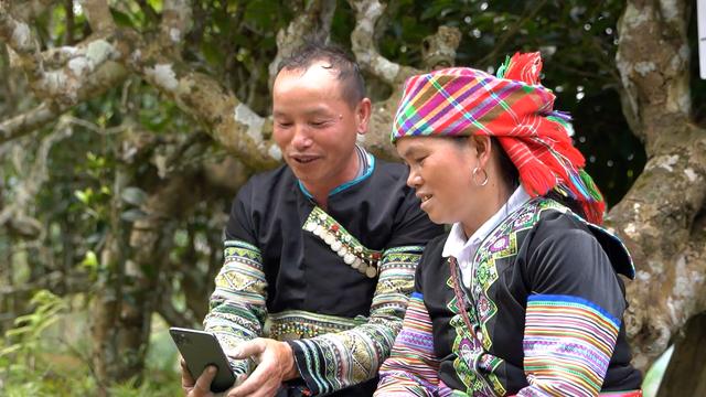 Chuyển đổi số - Điểm tựa vững chắc đưa chè Shan Tuyết vươn xa trên thị trường quốc tế